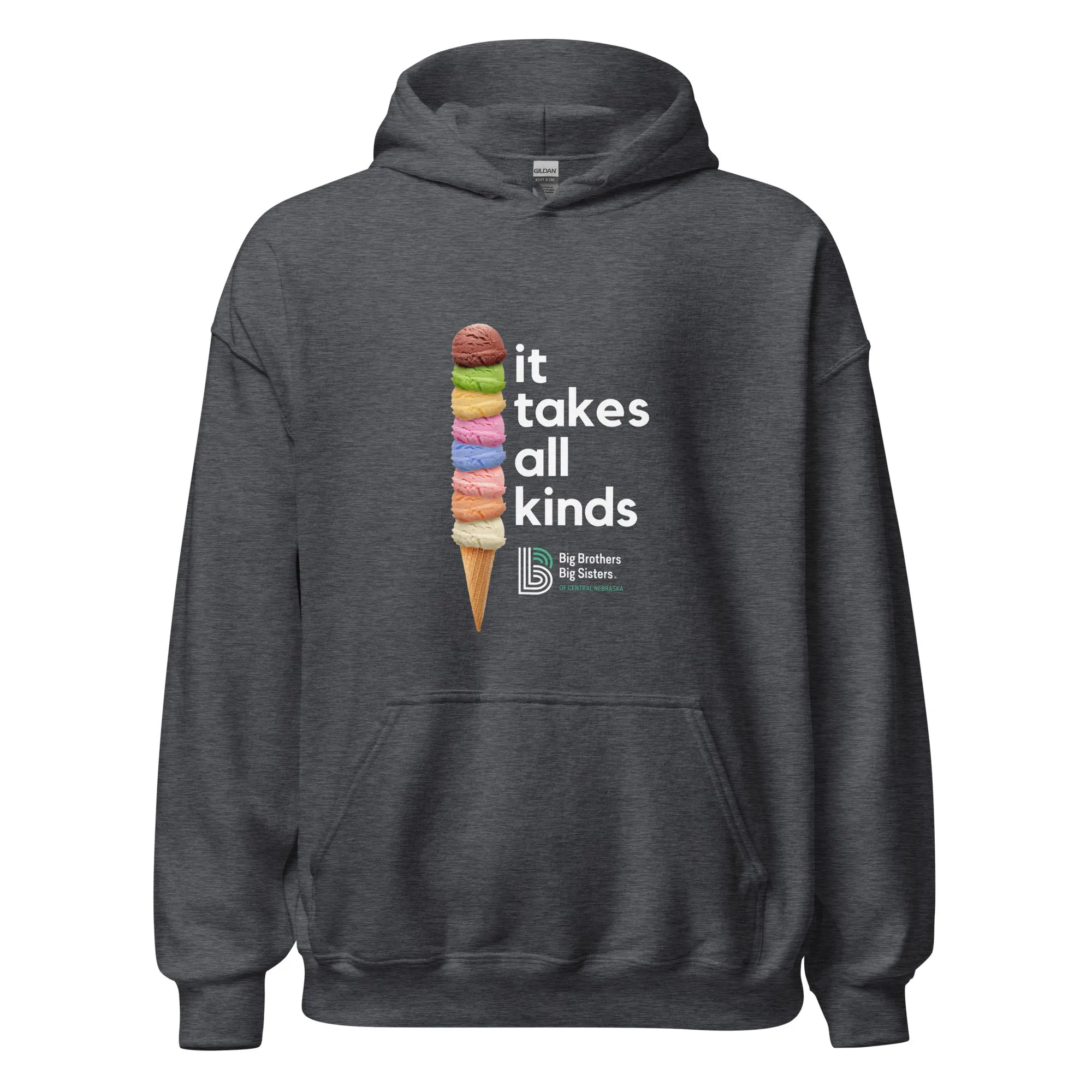 BBBS - It Take All Kinds Hoodie