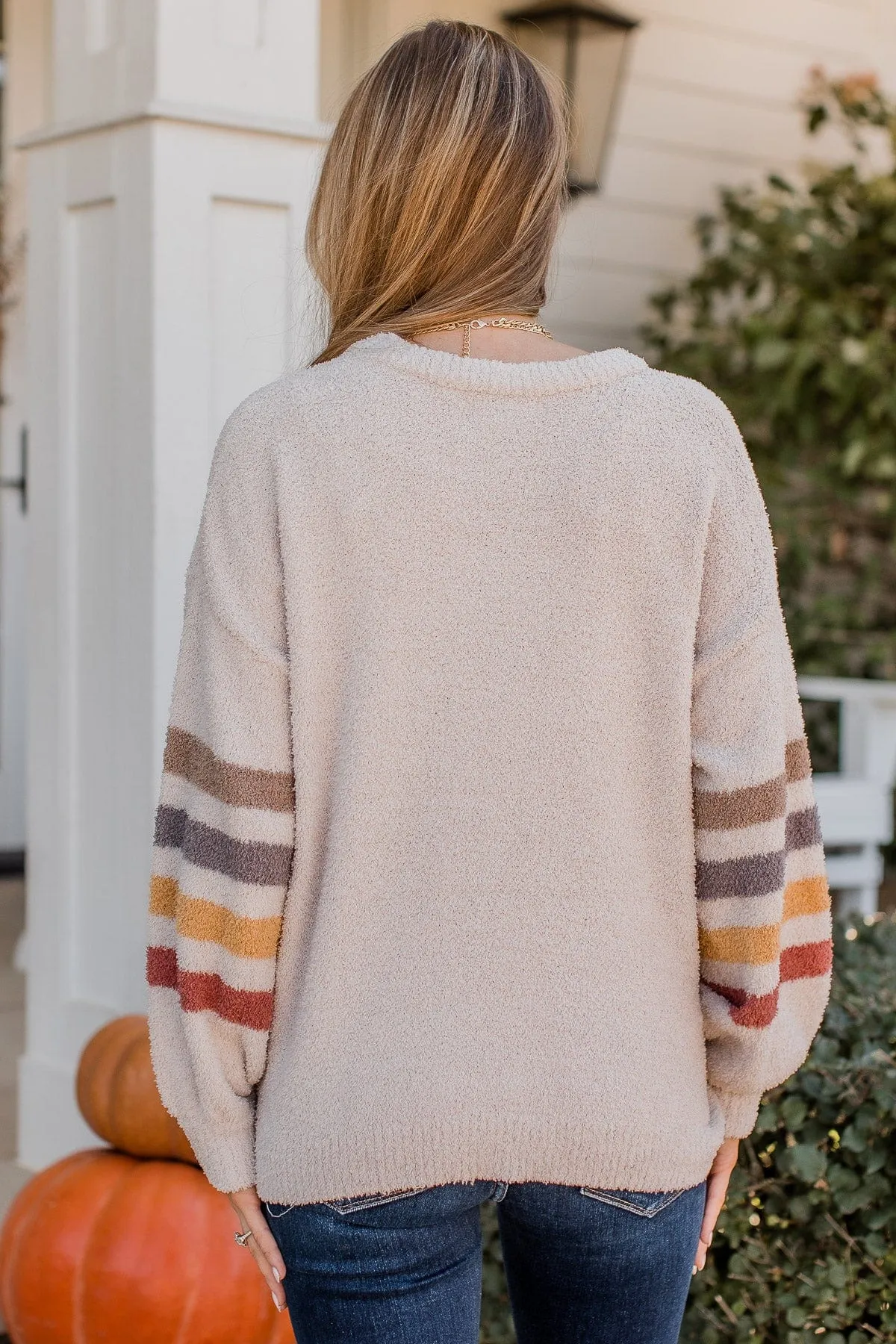 Harvest Hues Knit Sweater- Light Taupe