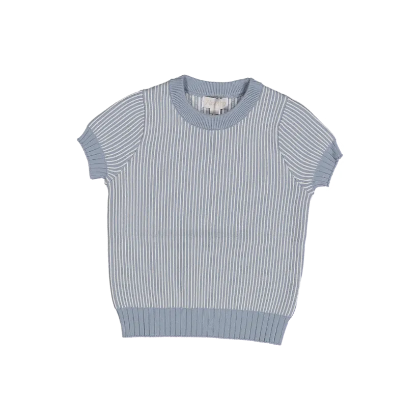 Jacquard striped knit short sleeve sweater