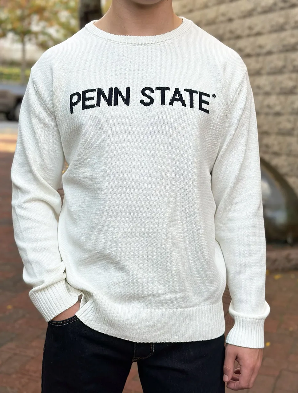 Penn State Intarsia Crew Neck Sweater | Bruzer