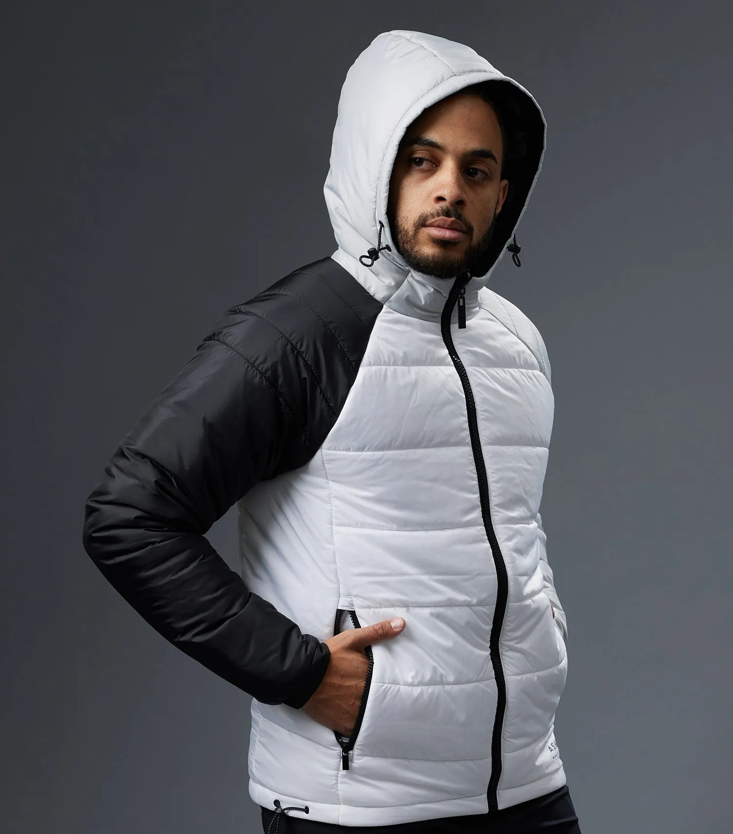 Reversible Puffer